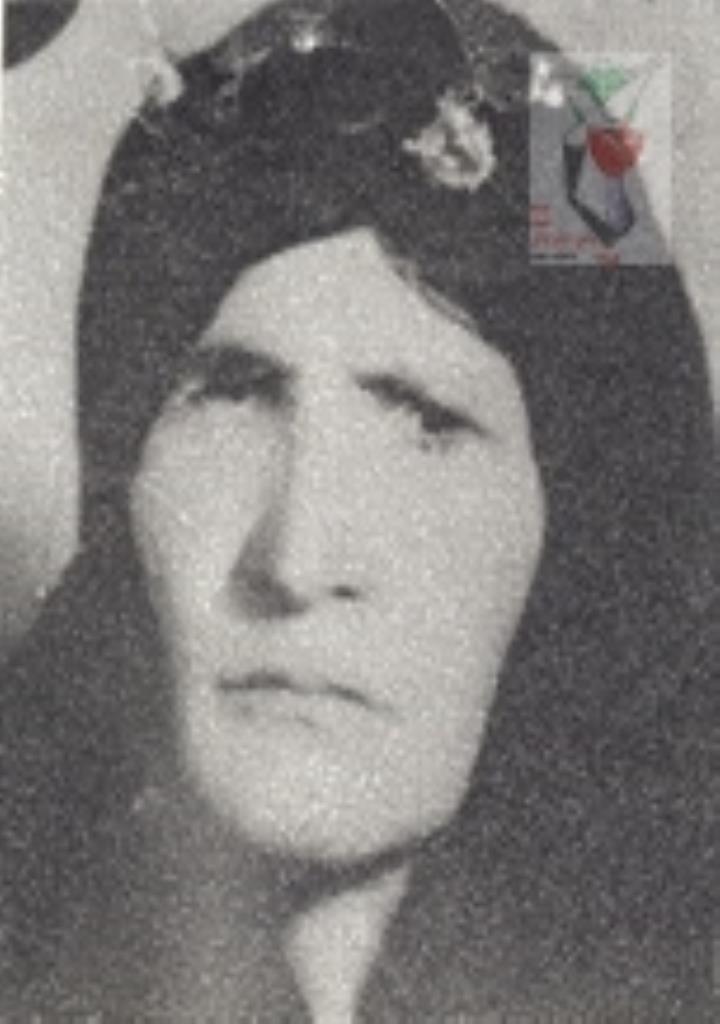فاقد تصویر